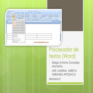 Procesador de textos (word) 5