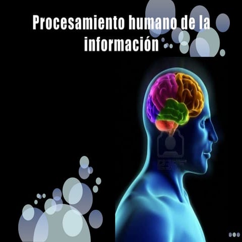 Procesamiento humano de la información