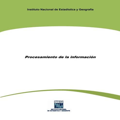 Procesamiento informacion