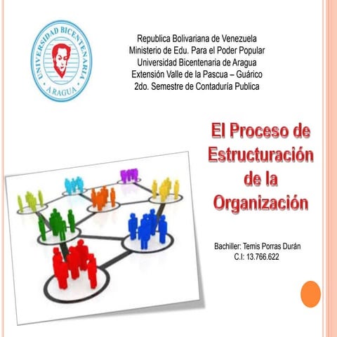 Proceso de la organización 