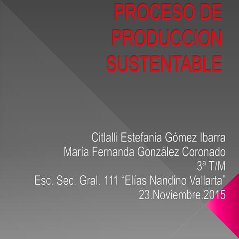 Proceso de-produccion-sustentable  terminado
