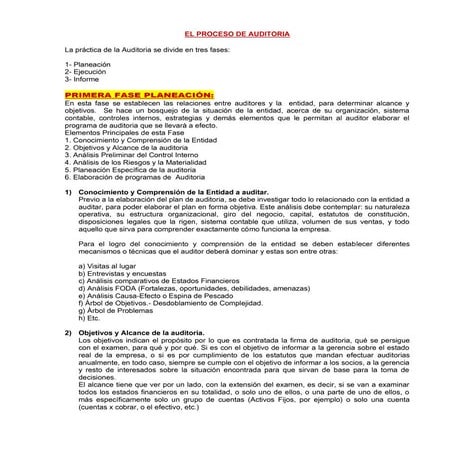 Proceso de auditoria | PDF