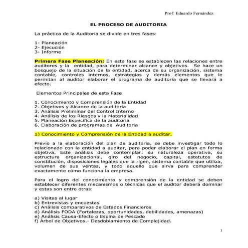 Proceso de auditoria ok | PDF