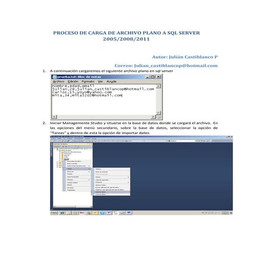 Proceso de carga de archivo plano a sql server 2005 2008 2011