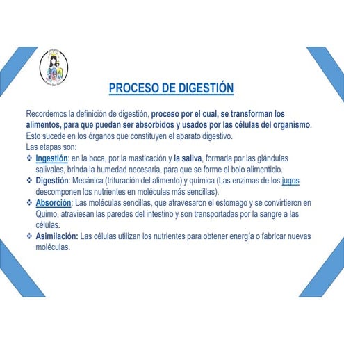 Clase Presentación Proceso De Digestion Pdf