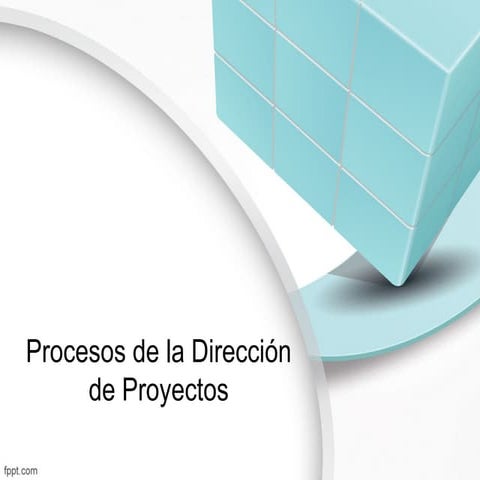 Proceso de dirección de proyectos