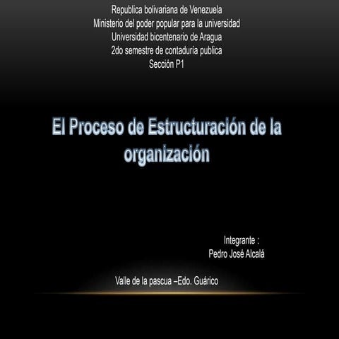 Proceso de estructuracion de laorganizacion