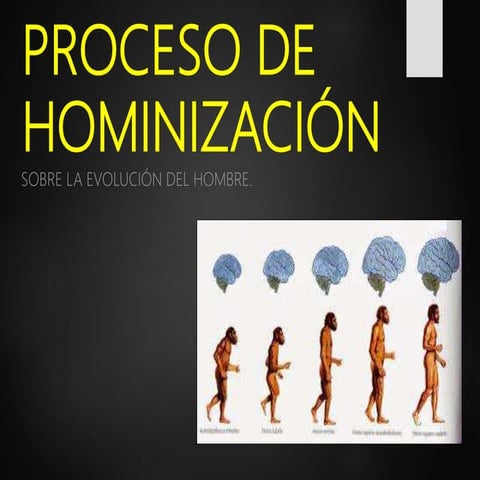 Proceso de hominización