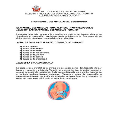 Proceso del desarrollo del ser humano