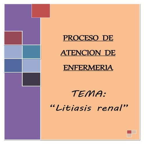 Proceso de atención en enfermería en paciente renal
