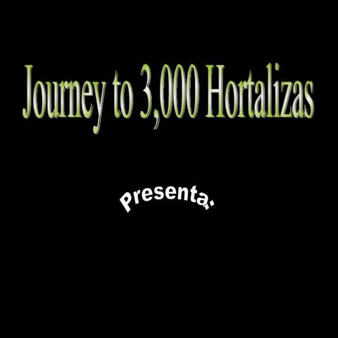Proceso journey max