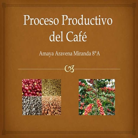 Proceso productivo del café