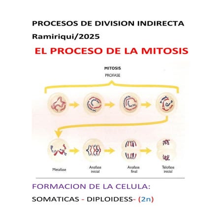 Procesos de division indirecta