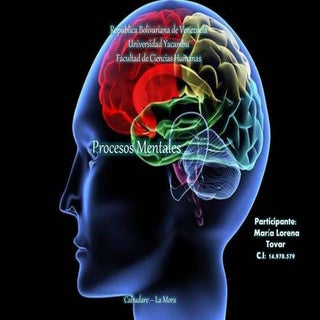 Procesos mentales