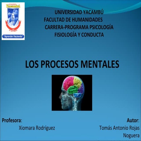 Procesos mentales