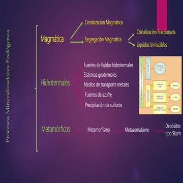 Procesos Mineralizadores Endógenos