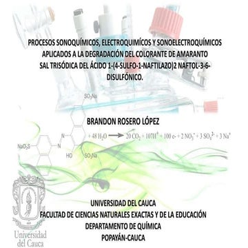 Procesos sonoquimicos, electroquimicos y sonoelectroquimicos amaranto