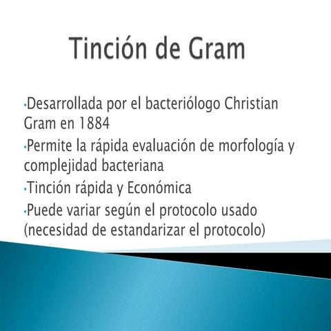 Proceso tinción de gram
