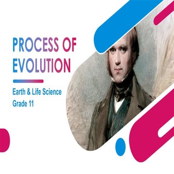 PROCESS-OF-EVOLUTION_01242023.pdf