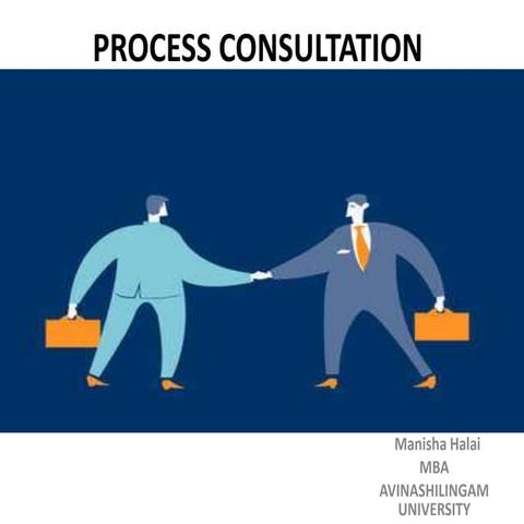 Process consultation
