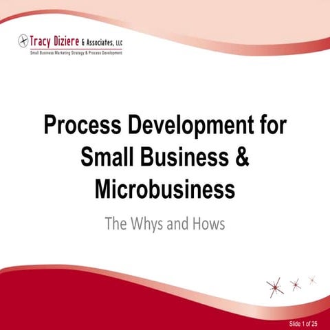 Process Development For Small Business 040610 Tda