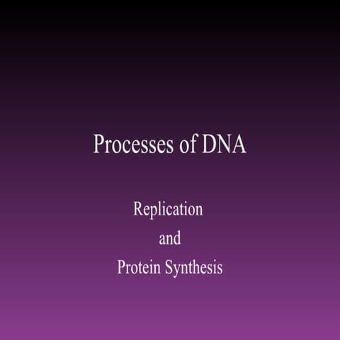 DNA Replication and Protein Synthesis