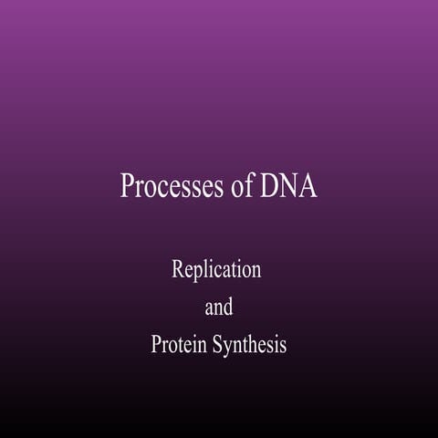 DNA Replication and Protein Synthesis