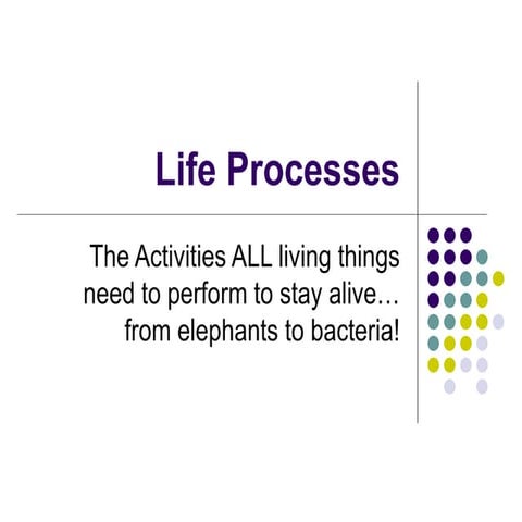 Processes Of Life