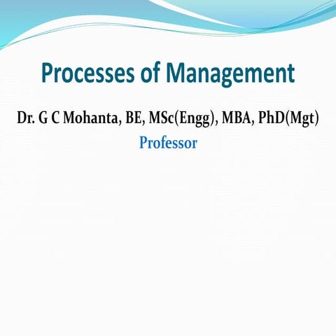 Processes of management