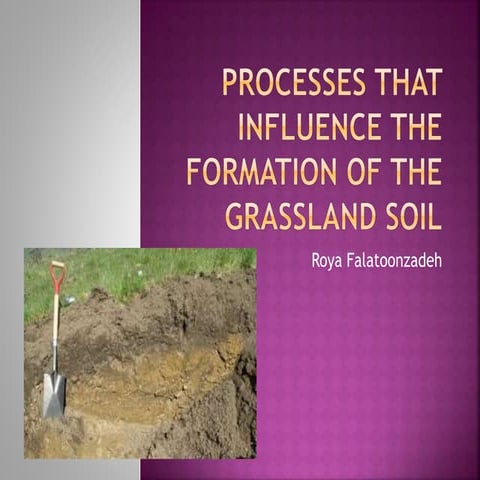 Processes that influence the formation of the grassland