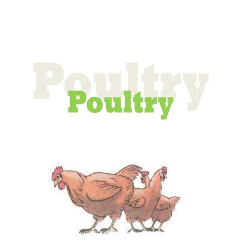 Poultry: Contamination, Preservation and Spoilage