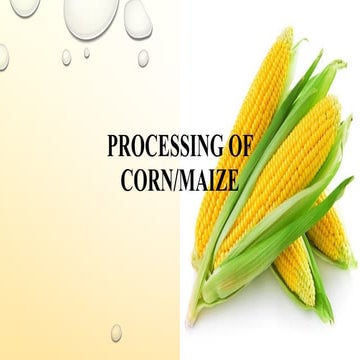 Milling of corn.ppt