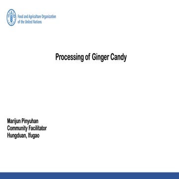 Processing of Ginger Candy