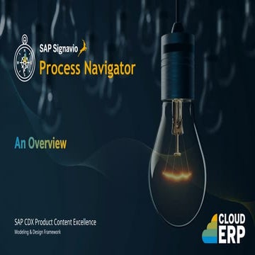 Process Navigator Overview_external (black).docx