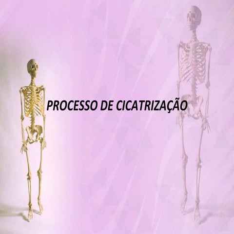 Processo de cicatrizacao