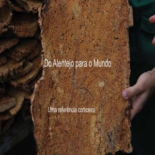 Alentejo, uma referência corticeira