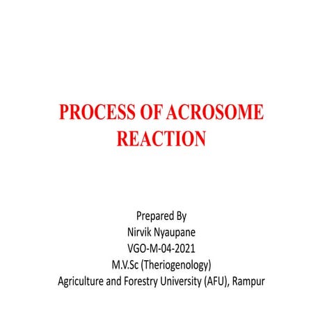 Process of Acrosomal Reaction.pptx