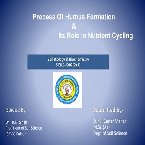 Process of humus formation
