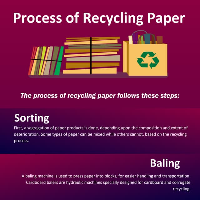 Process of Recycling Paper PDF
