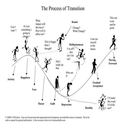 Process of transition  - Fisher's Transition Curve - John Fisher 2003