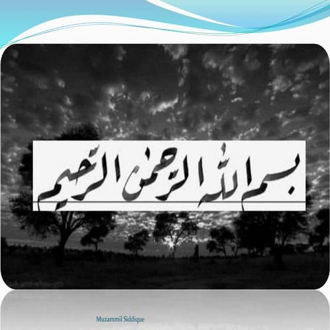 Process related to homeostasis