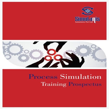 Process simulation prospectus