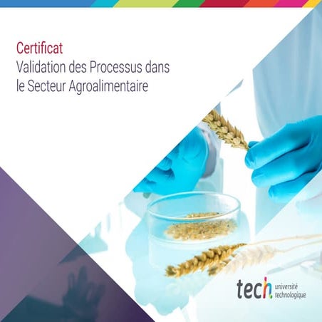 processus-secteur-agroalimentaire.pdf hhhhhhhhhhh | PDF
