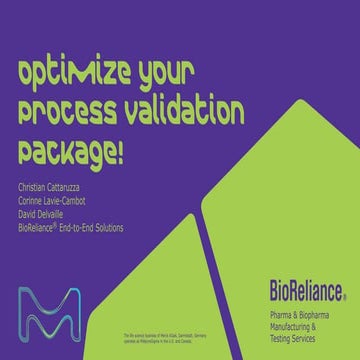 Optimize Your Process Validation Package
