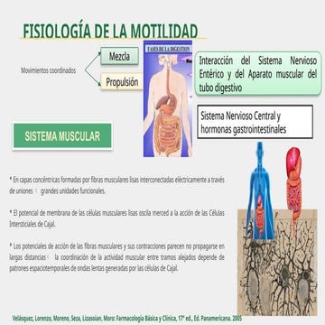 Fisiología y Farmacología de la Motilidad Gastrointestinal: Mecanismos ...