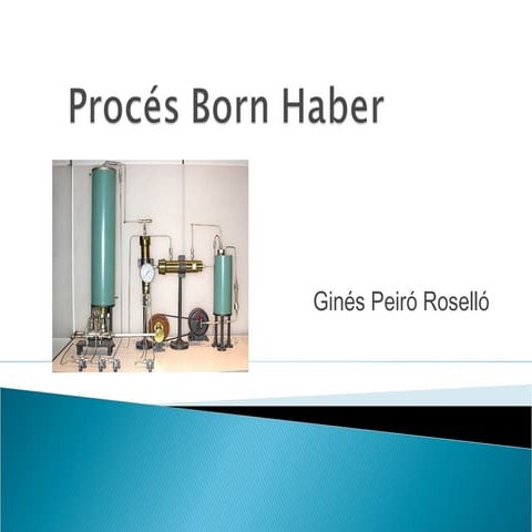 Procés born haber