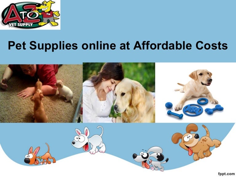 Procure Wholesale Pet Supplies Online 
