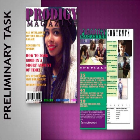 Preliminary Task evaluation 