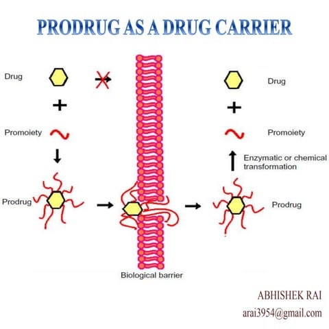 Prodrug as drug career