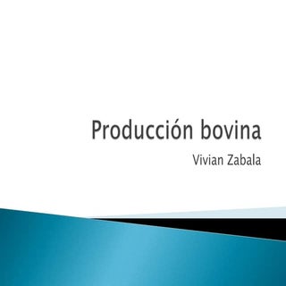 Producción bovina